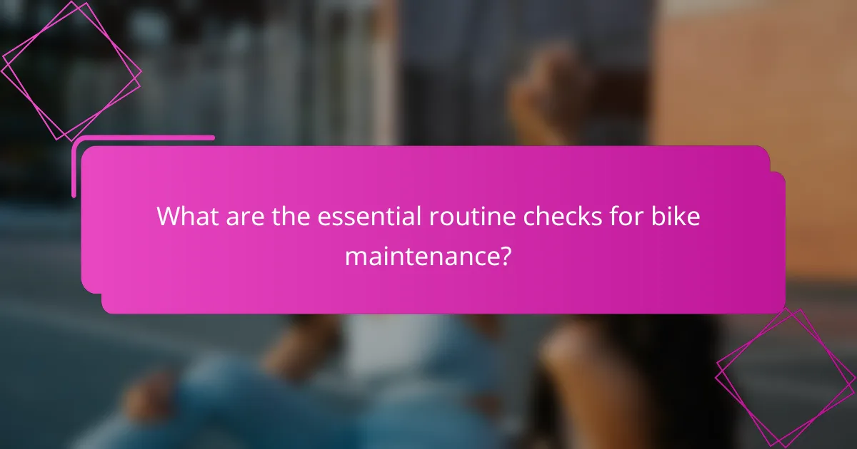 What are the essential routine checks for bike maintenance?