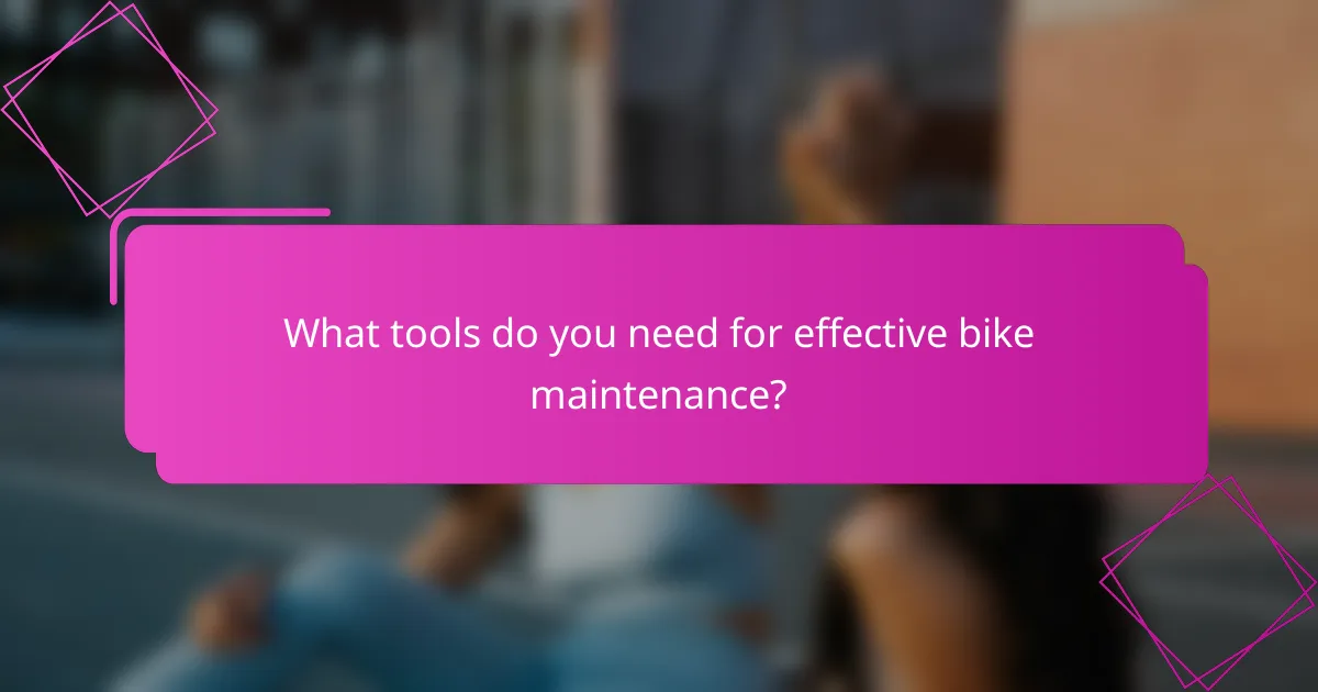 What tools do you need for effective bike maintenance?