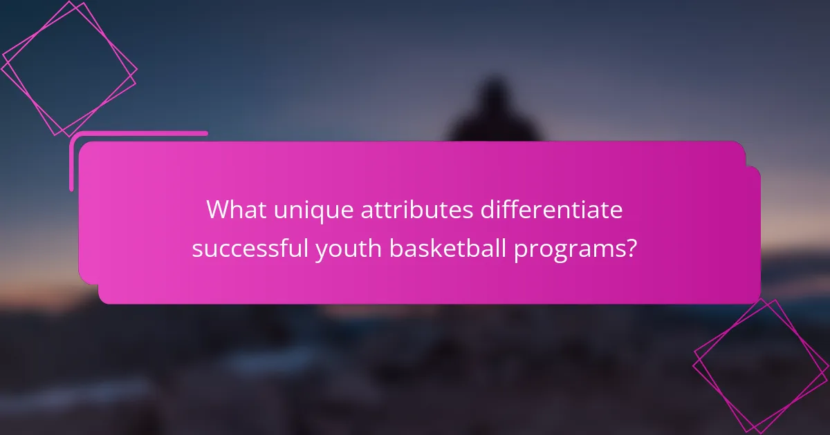 What unique attributes differentiate successful youth basketball programs?